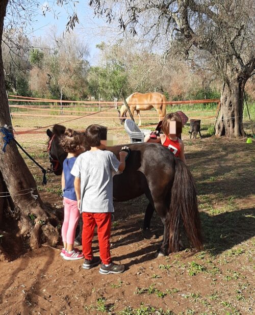 Baby escursione a cavallo nelle campagne salentine - immagine 4