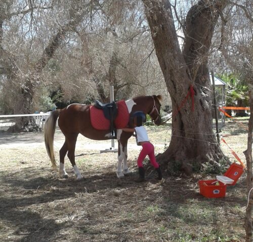 Baby escursione a cavallo nelle campagne salentine - immagine 5