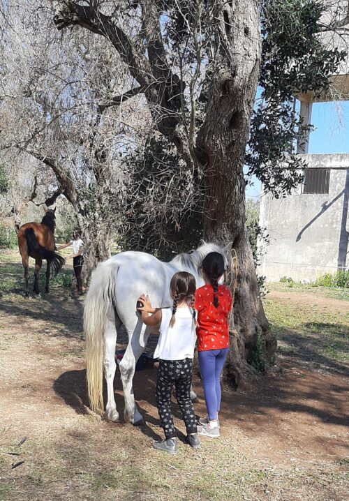Baby escursione a cavallo nelle campagne salentine - immagine 6