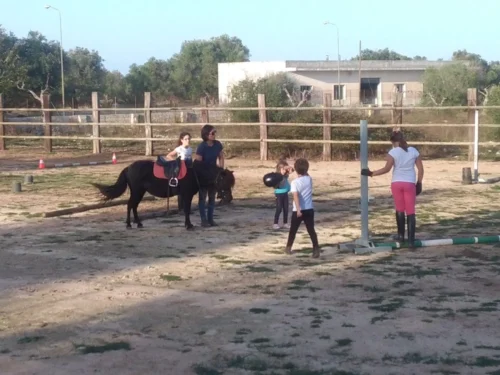Baby escursione a cavallo nelle campagne salentine - immagine 2