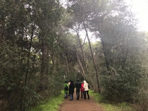 GAIN UP NEL PARCO A CALIMERA - immagine 4
