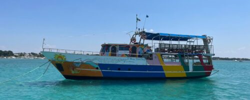 Escursione in barca Snorkeling e Aperitivo inclusi - Porto Cesareo