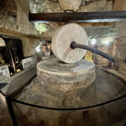 Tour ai frantoi ipogei di Gallipoli