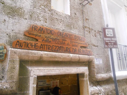 Tour ai frantoi ipogei di Gallipoli - immagine 4