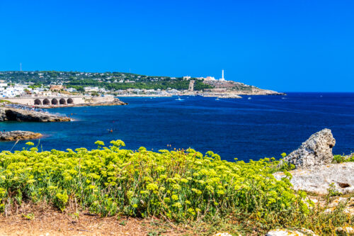 Salento Tour delle 4 Marine - immagine 4