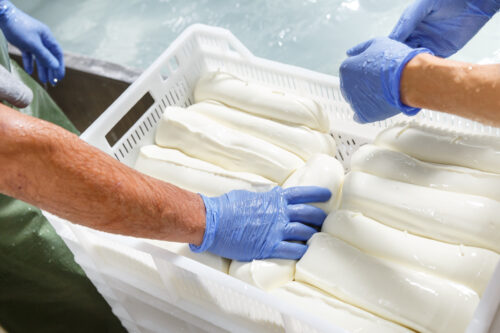 Una giornata da Mastro Casaro: Mozzarella e latticini (con degustazione) - immagine 6