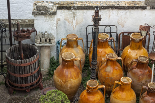 Salento Tour del Vino e dell'Olio con degustazione - immagine 3