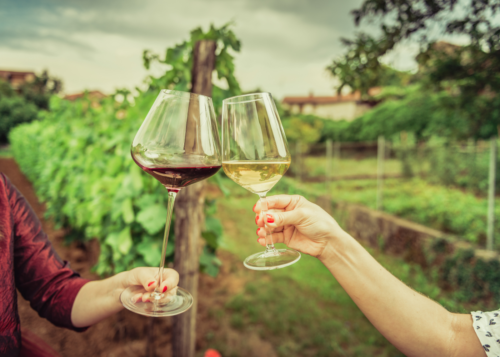 Radici e tralci: Degustazione vini e piatti del Salento