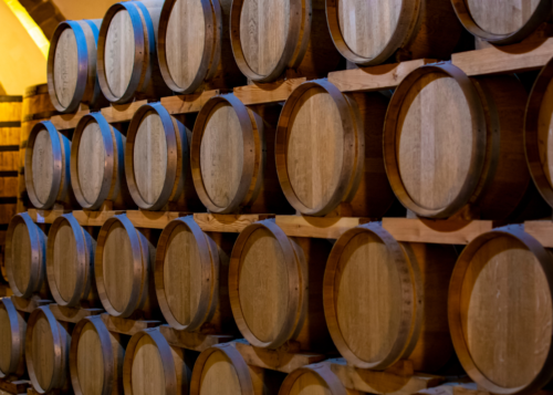 Radici e tralci: Degustazione vini e piatti del Salento - immagine 7
