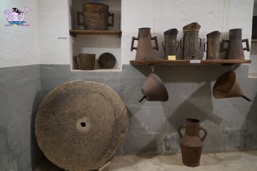 Calici al Museo: Degustazione vini salentini al Museo dell'Olio - immagine 9