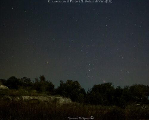 Viaggio intorno alle stelle tra gli ulivi del Salento - immagine 5