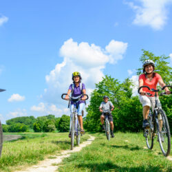 La Quercia dei Cento Cavalieri: Bike Tour da Poggiardo a Tricase
