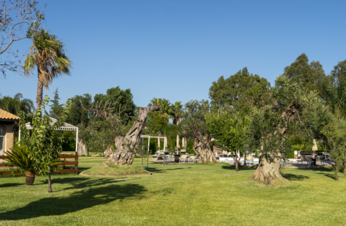 Camminata e respiro consapevoli - Benessere in Masseria salentina - immagine 2