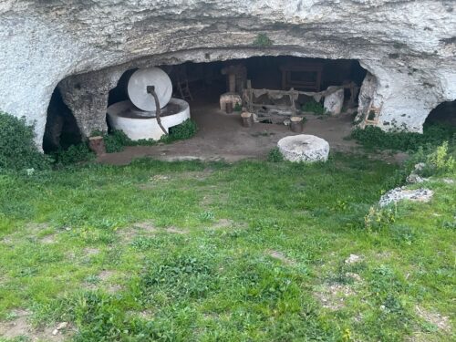 La Quercia dei Cento Cavalieri: Bike Tour da Poggiardo a Tricase - immagine 15