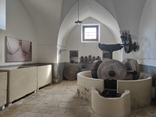 Calici al Museo: Degustazione vini salentini al Museo dell'Olio - immagine 6