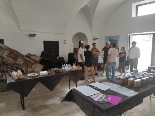Calici al Museo: Degustazione vini salentini al Museo dell'Olio - immagine 3