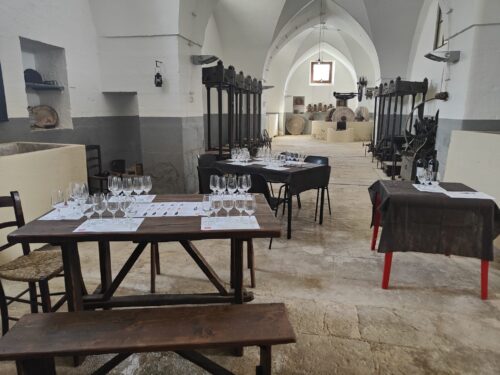 Calici al Museo: Degustazione vini salentini al Museo dell'Olio