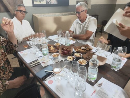 Calici al Museo: Degustazione vini salentini al Museo dell'Olio - immagine 2